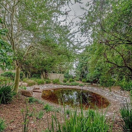 Wild Olive Executive Suite Johannesburg Kültér fotó