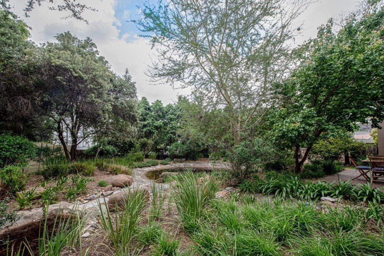 Wild Olive Executive Suite Johannesburg Kültér fotó