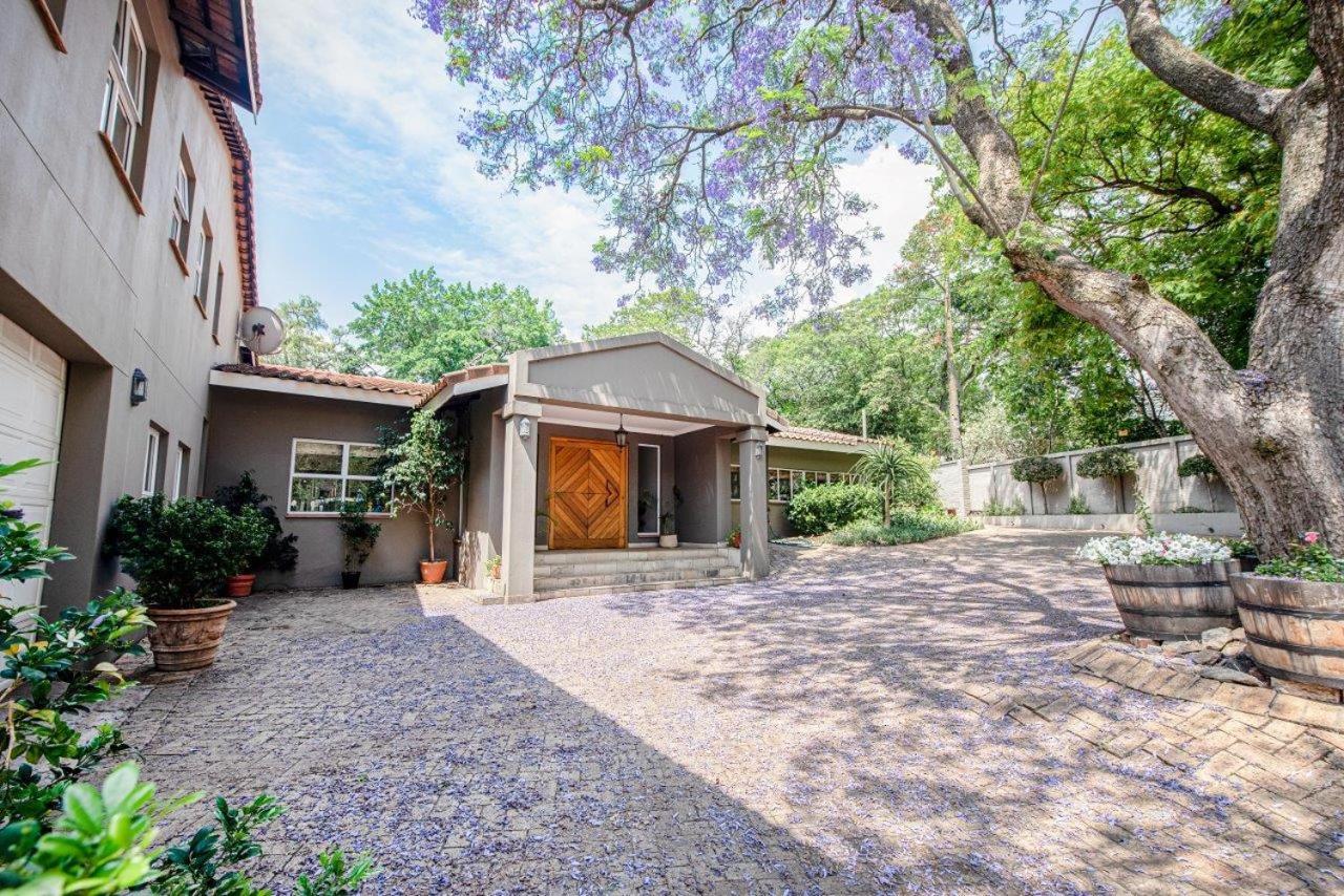 Wild Olive Executive Suite Johannesburg Kültér fotó