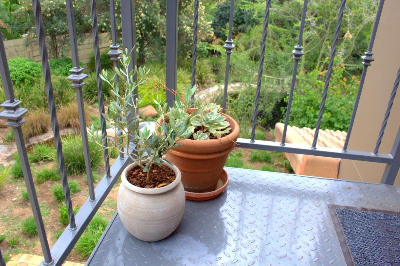 Wild Olive Executive Suite Johannesburg Kültér fotó
