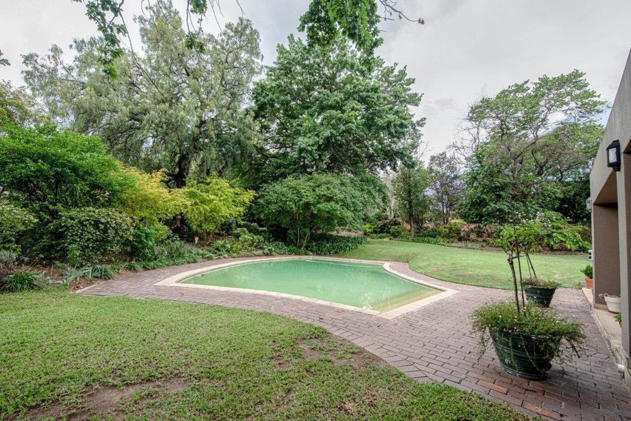 Wild Olive Executive Suite Johannesburg Kültér fotó