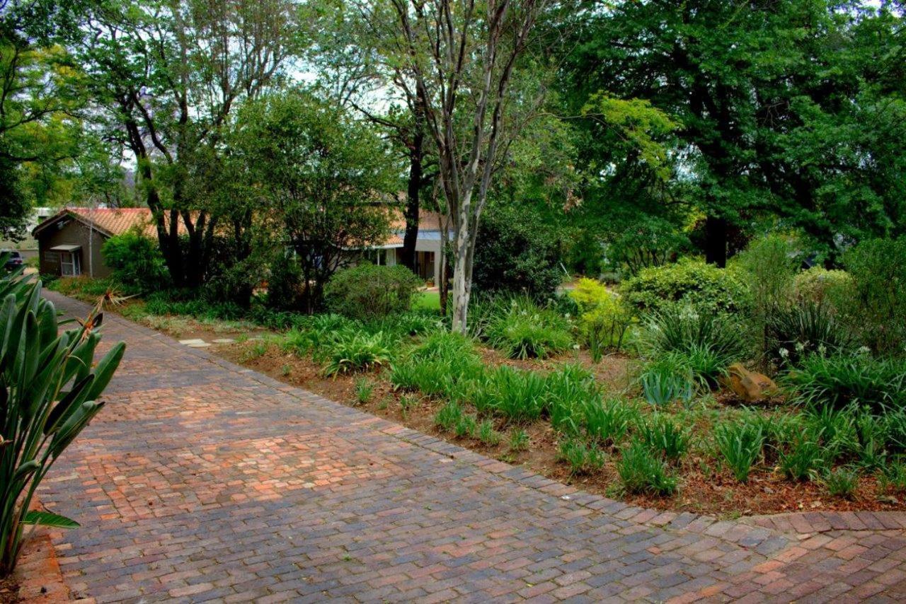 Wild Olive Executive Suite Johannesburg Kültér fotó
