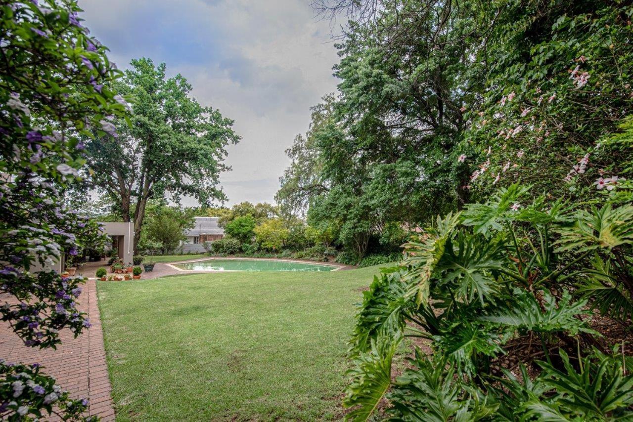 Wild Olive Executive Suite Johannesburg Kültér fotó