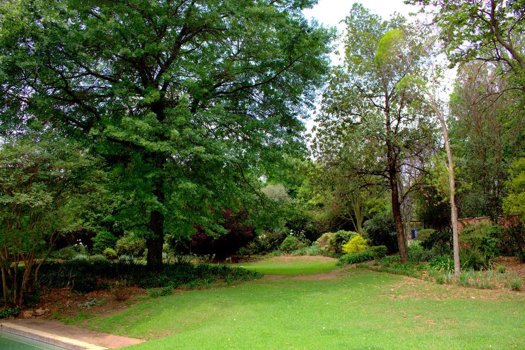 Wild Olive Executive Suite Johannesburg Kültér fotó