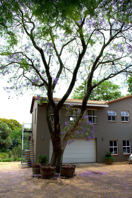 Wild Olive Executive Suite Johannesburg Kültér fotó